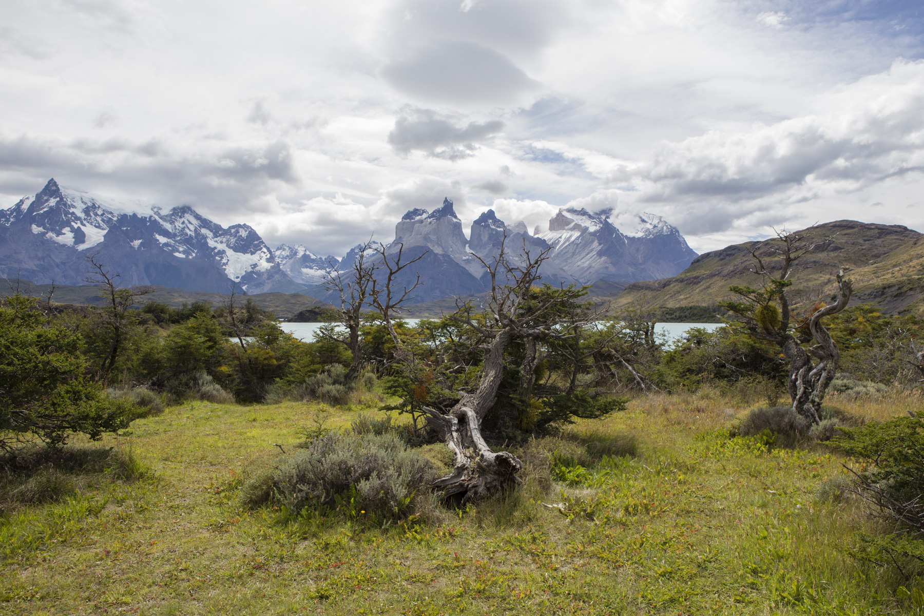 Total view of Torres del Paine mountain range from Pehoe campground